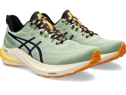 GT-2000™|Hardlopen>ASICS GT-2000 12 TR Nature Bathing/Fellow Yellow